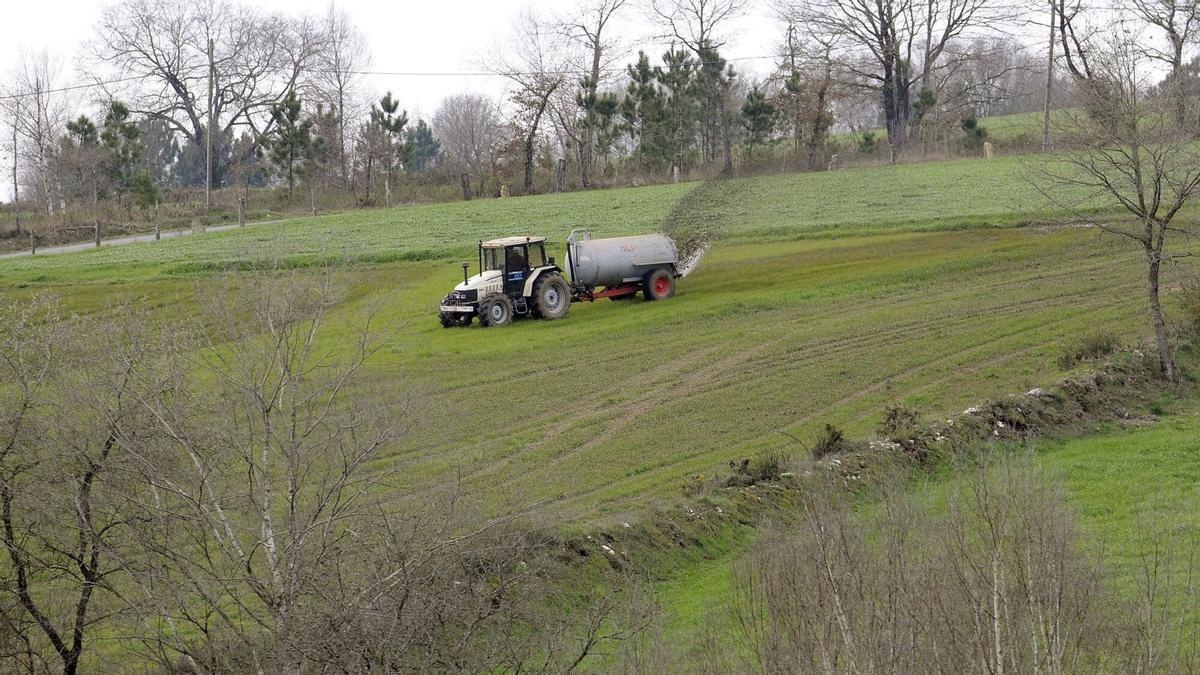 Un tractor con una cuba echa abono en una finca.