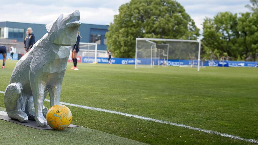 Liga F pone su granito de arena para “ayudar a conocer al lobo”