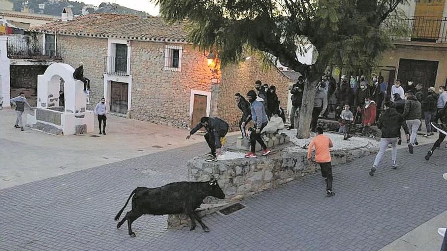 Vecinos disfrutan estas fiestas de exhibiciones taurinas en el casco antiguo, en la calle San Jaime.