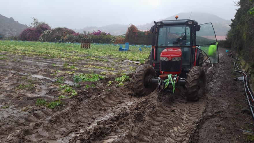 Las lluvias de ‘Hermine’ dejan agua en los cultivos para aguantar hasta un mes