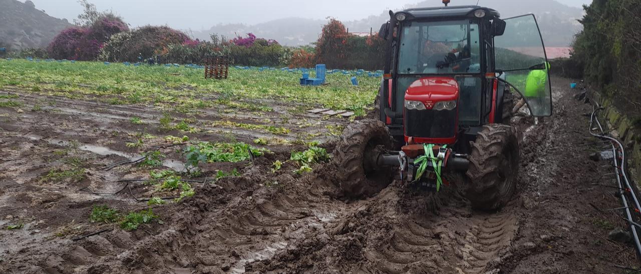 Finca en Siete Puertas