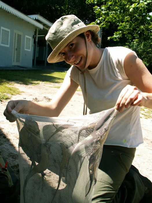 La investigadora del campus determina la variación genética entre reptiles de diferentes islas y, por tanto, la existencia de más especies de las que hasta ahora se creía