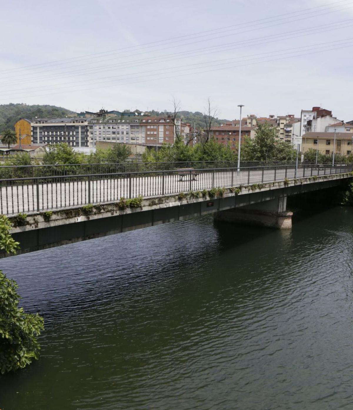 El río Nalón a la altura del puente de Lada, con La Felguera la fondo. |