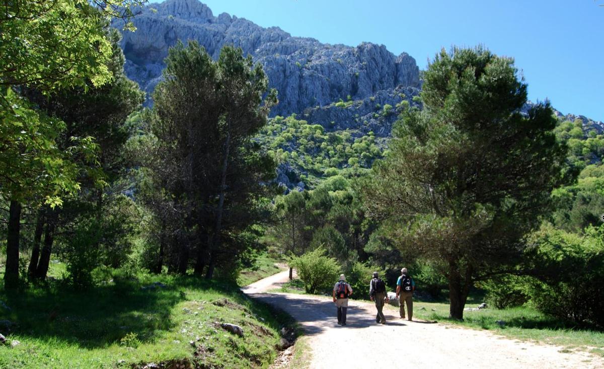 Sendero de la Cueva de las Grajas, en Archidona