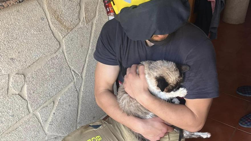 Un bombero con el gato ya a salvo