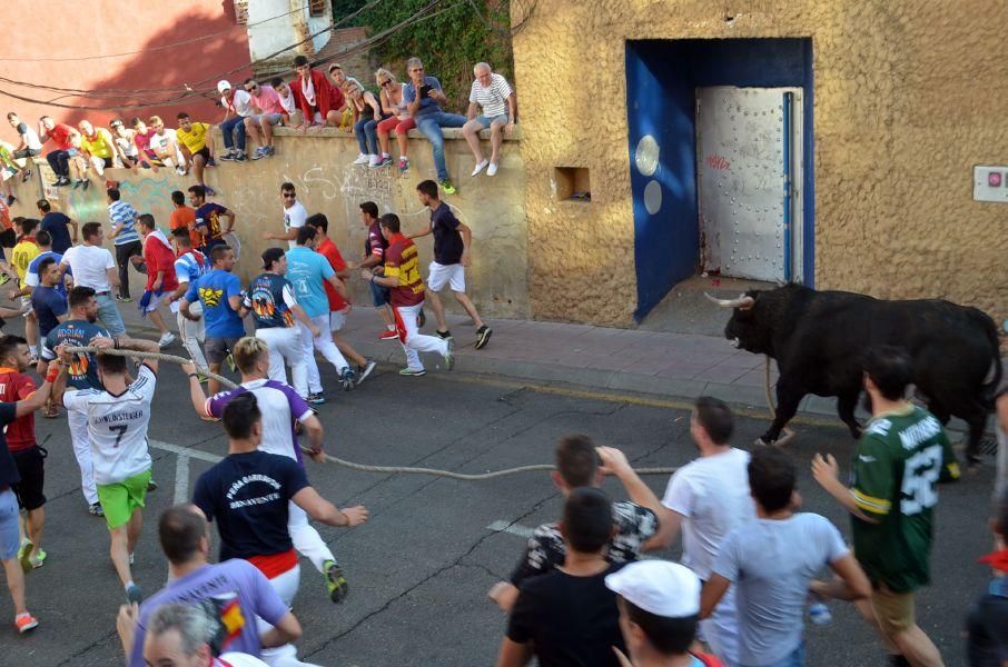 Toro Enmaromado Benavente: "Tapador" se rinde al c