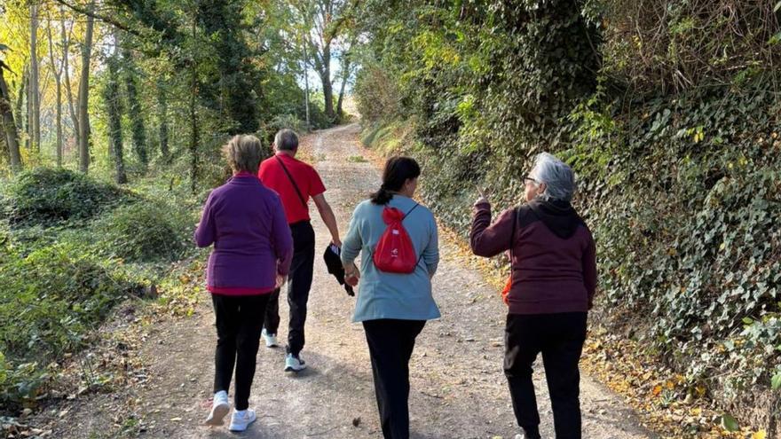 Los paseos saludables organizados por el consistorio están abiertos a la participación. | SERVICIO ESPECIAL