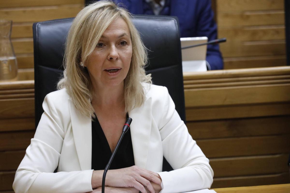 Sara Álvarez Rouco, en un Pleno.
