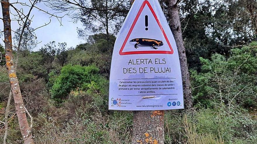 Un dels cartells que s&#039;han penjat a la vall de Sant Daniel.