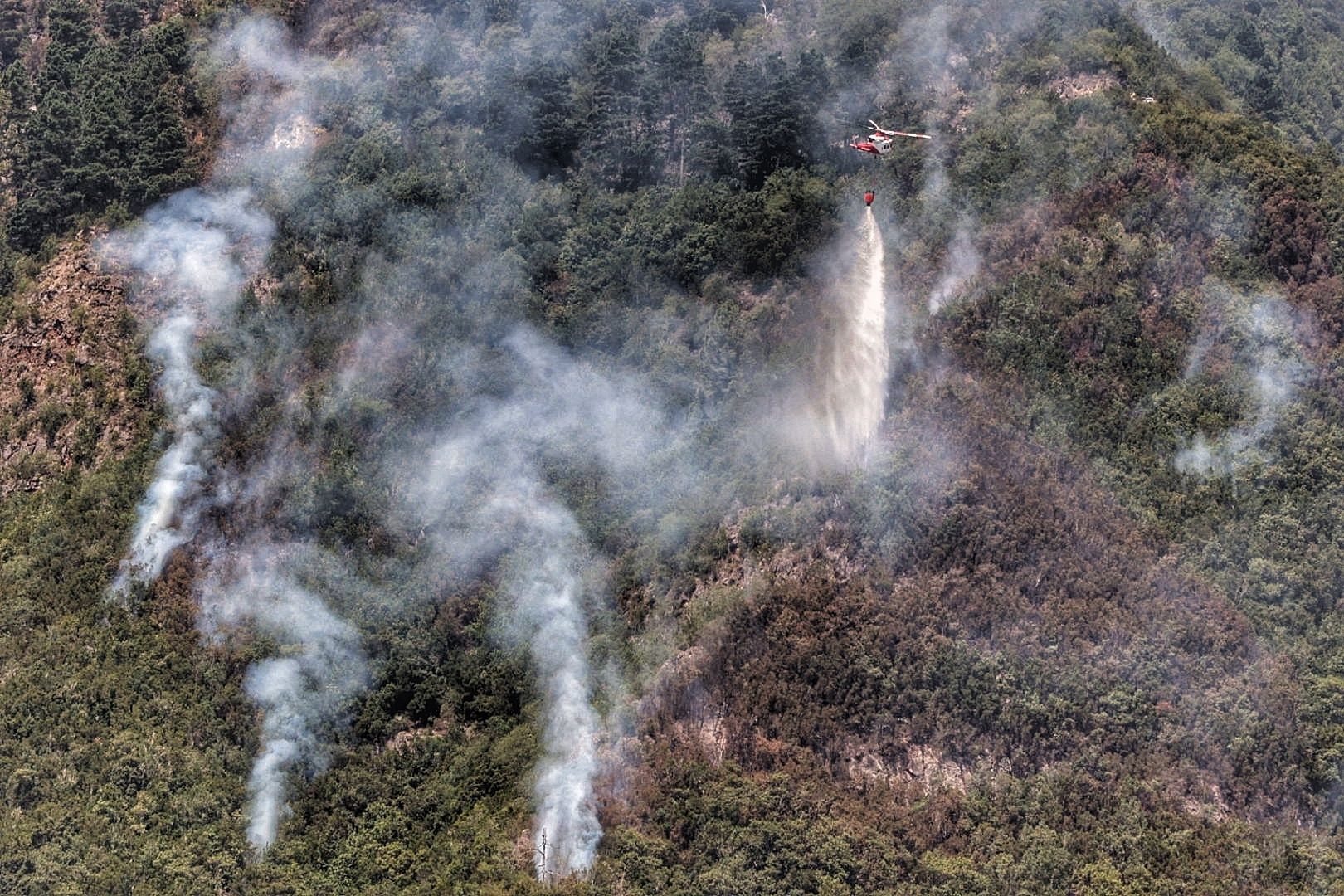 Labores de extinción del incendio en Tigaiga, Tenerife (26/07/2022)