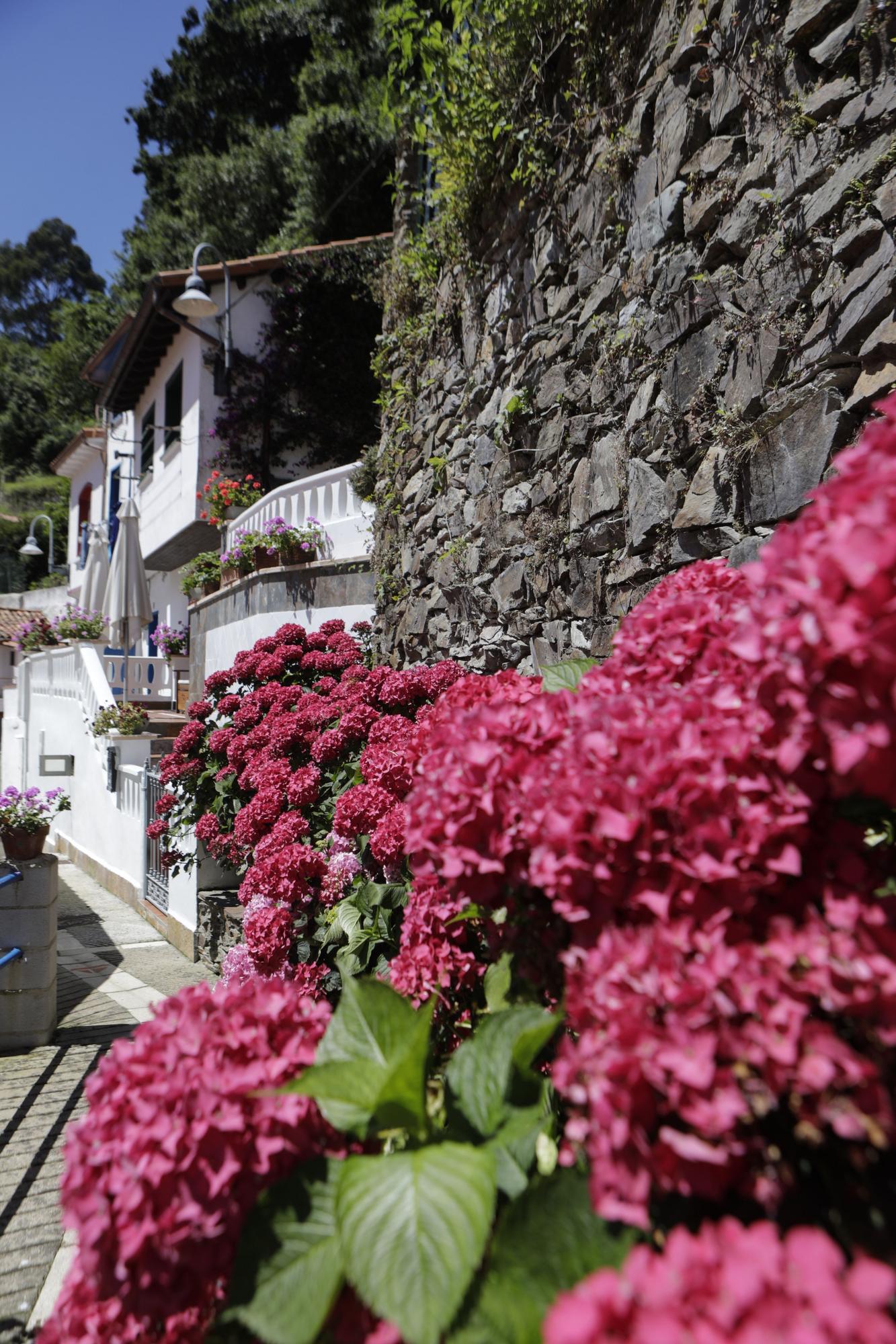 Los secretos de Cudillero, un pueblo "de guapo subido"