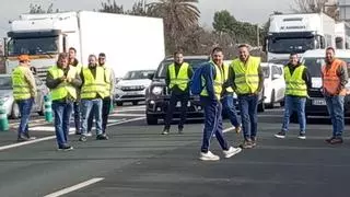 Agricultores vuelven a cortar la A-4 en La Carlota este sábado