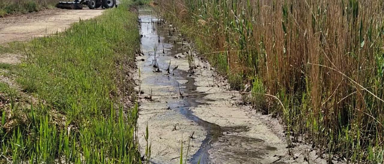 Los trabajos para retirar los fangos de aguas fecales en el cauce del Rodriguillo.  | INFORMACIÓN