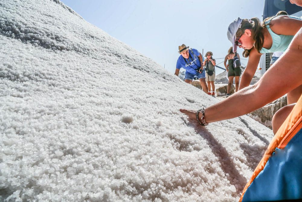 En torno a medio centenar de turistas estrenaron las visitas guiadas a las salinas de Torrevieja, que pretenden normalizarse el verano que viene