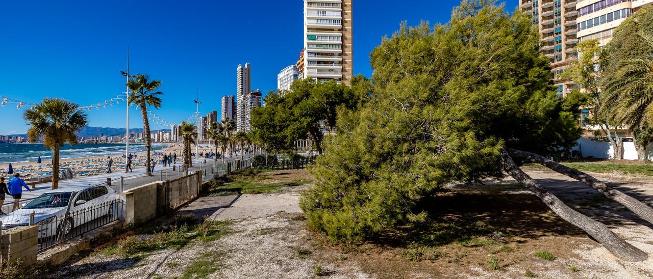 Solar donde está proyectado construir el Aula del Mar