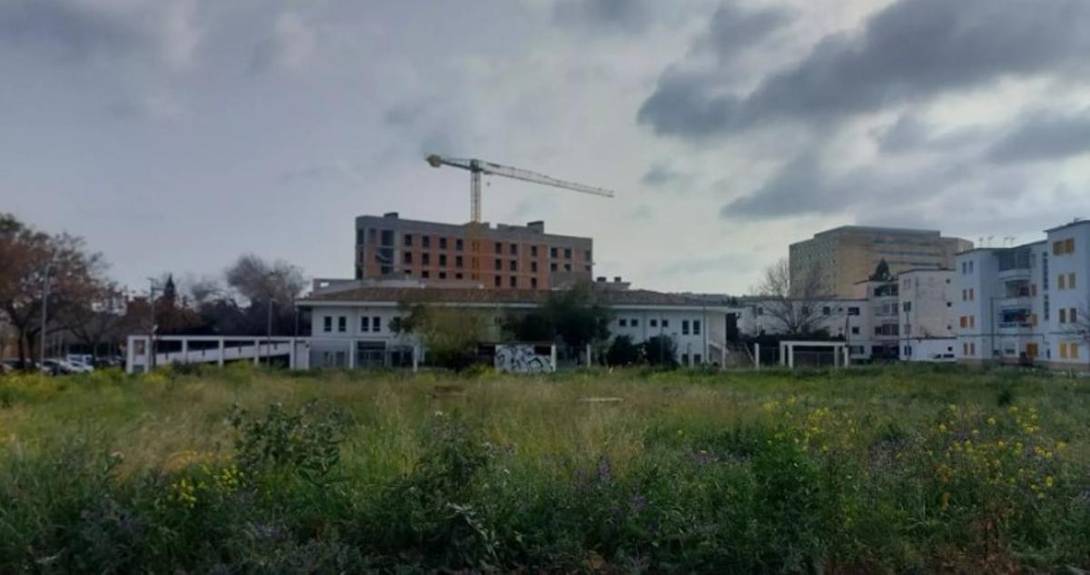 Auf diesem Gelände, gar nicht weit weg vom Verlagsgebäude der MZ, soll die neue Aldi-Filiale entstehen.