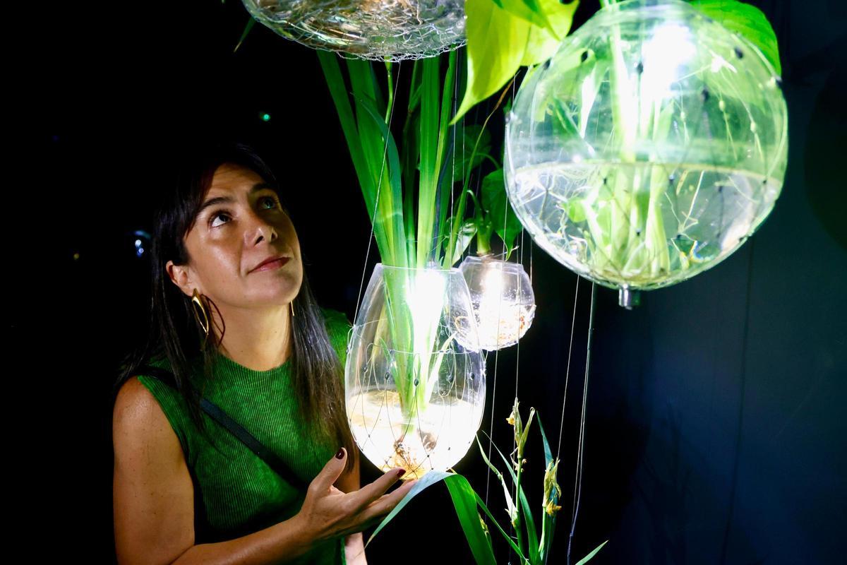 Exposición de Tania Candiani