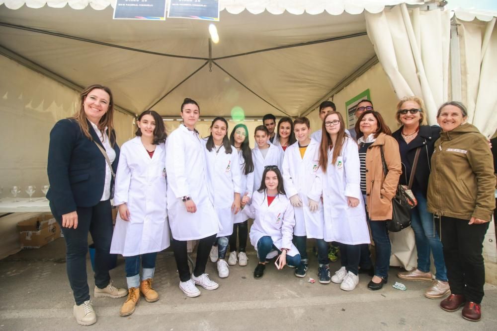 VIII Certamen de Ciencias de la Vega Baja