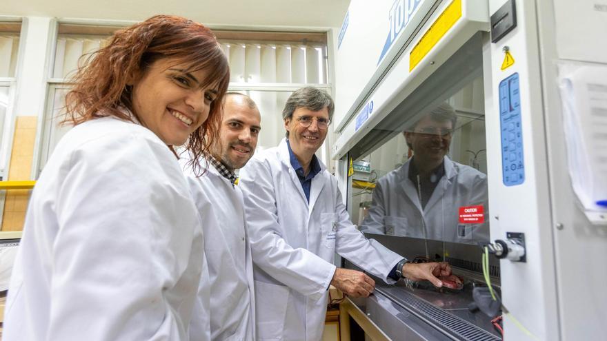 La UA alarga en un 25 % la vida de carnes, zumos y quesos con rayos ultravioleta