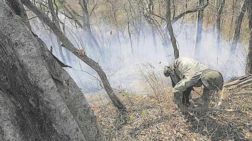 La mayoría de municipios, sin plan antiincendios