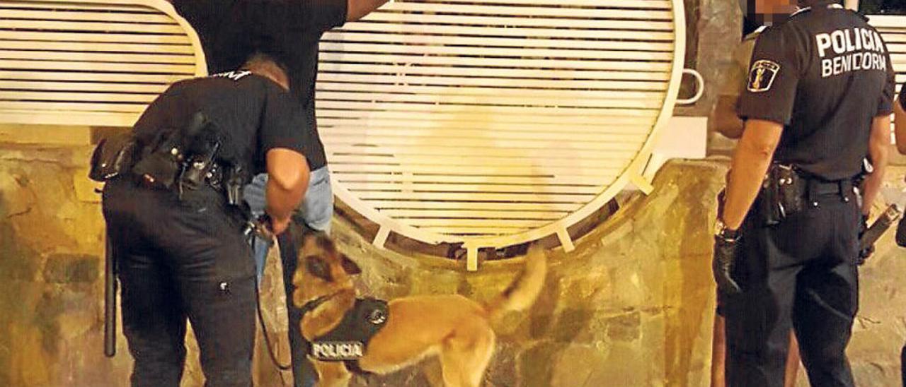 Uno de los perros policía de Benidorm «cachea» a un sospechoso, en presencia de dos agentes.