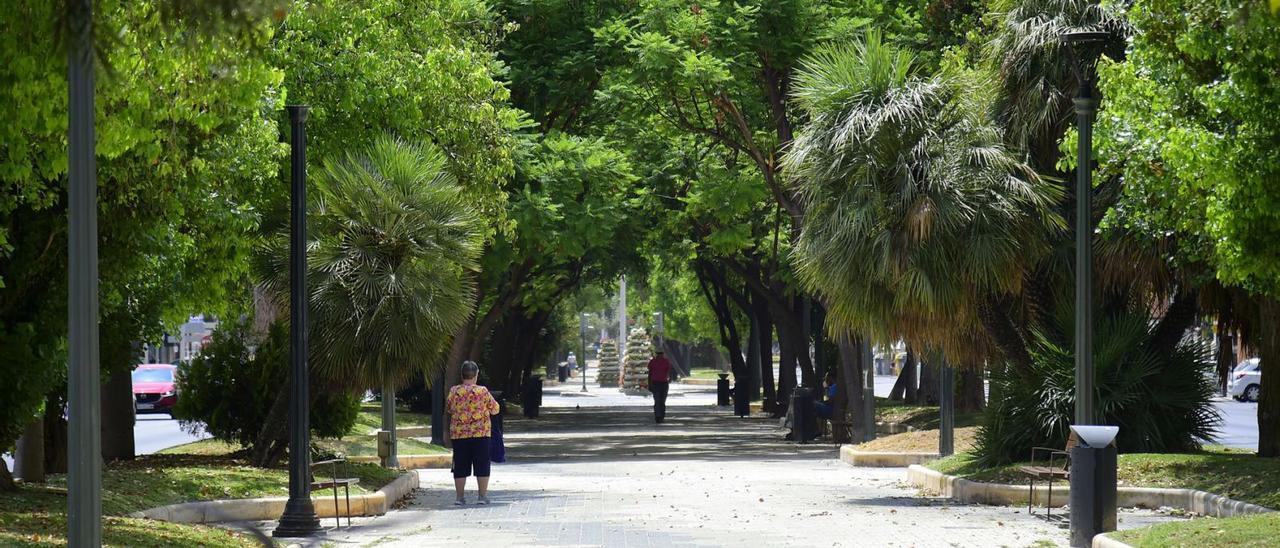 La Alameda de San Antón, fotografia de ayer.