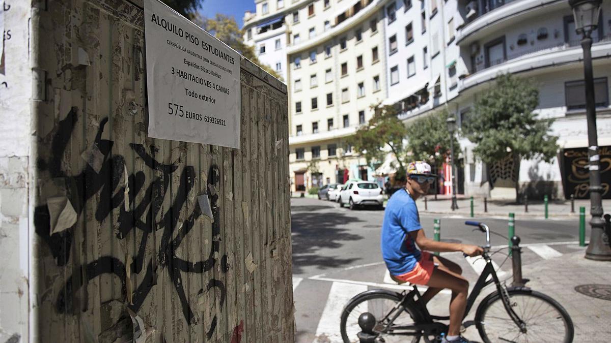 Anunci de pis d&#039;estudiants en l&#039;entorn de la plaça del Xúquer, al barri de la Vega Baixa (Sant Josep). | JOSÉ MANUEL LÓPEZ