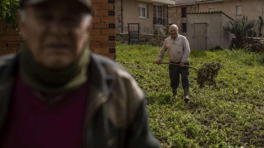 Un hombre trabaja el huerto en Ferreruela de Tábara.