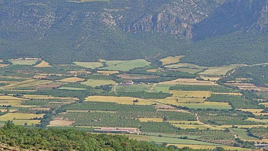 Cultius de l&#039;estudi del CTFC a la vall d&#039;Àger