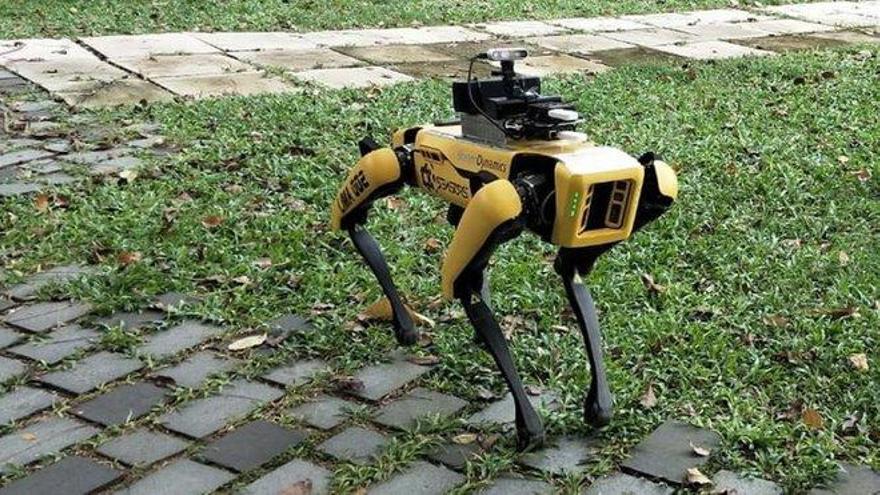 &#039;Spot&#039;, el perro-robot que garantiza el distanciamiento en Singapur