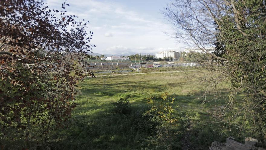 Empiezan las obras para crear un bosque urbano en el canódromo