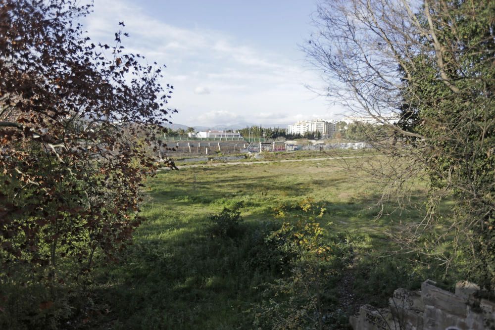 Un bosque urbano en los terrenos del canódromo