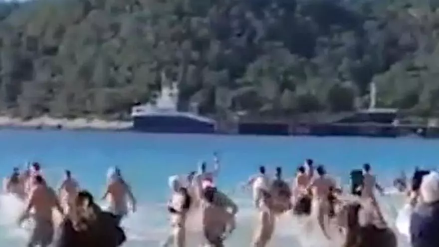 Lo vídeos más vistos del mes de enero