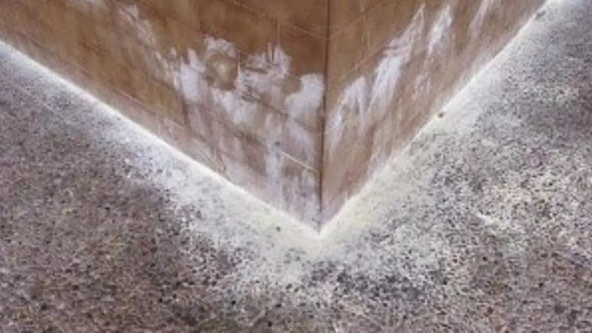 El azufre no evita que los perros orinen en los portales… y puede perjudicar su salud (y la de los viandantes)