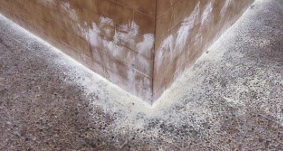 El azufre no evita que los perros orinen.