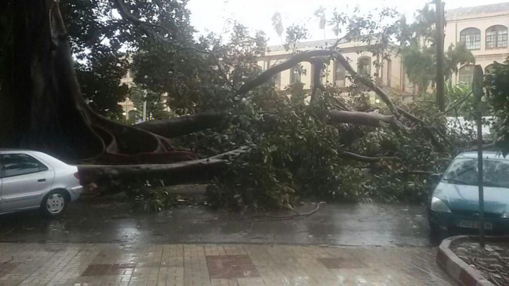 Las incidencias de la borrasca Ana en Málaga