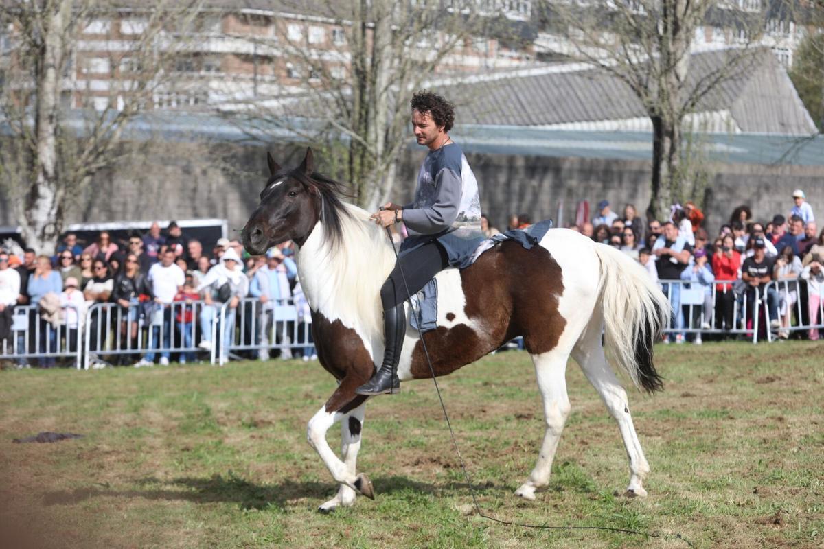 La XXXV Feira do Cabalo de Lalín cerró ayer su segunda y última jornada con una notable afluencia de público