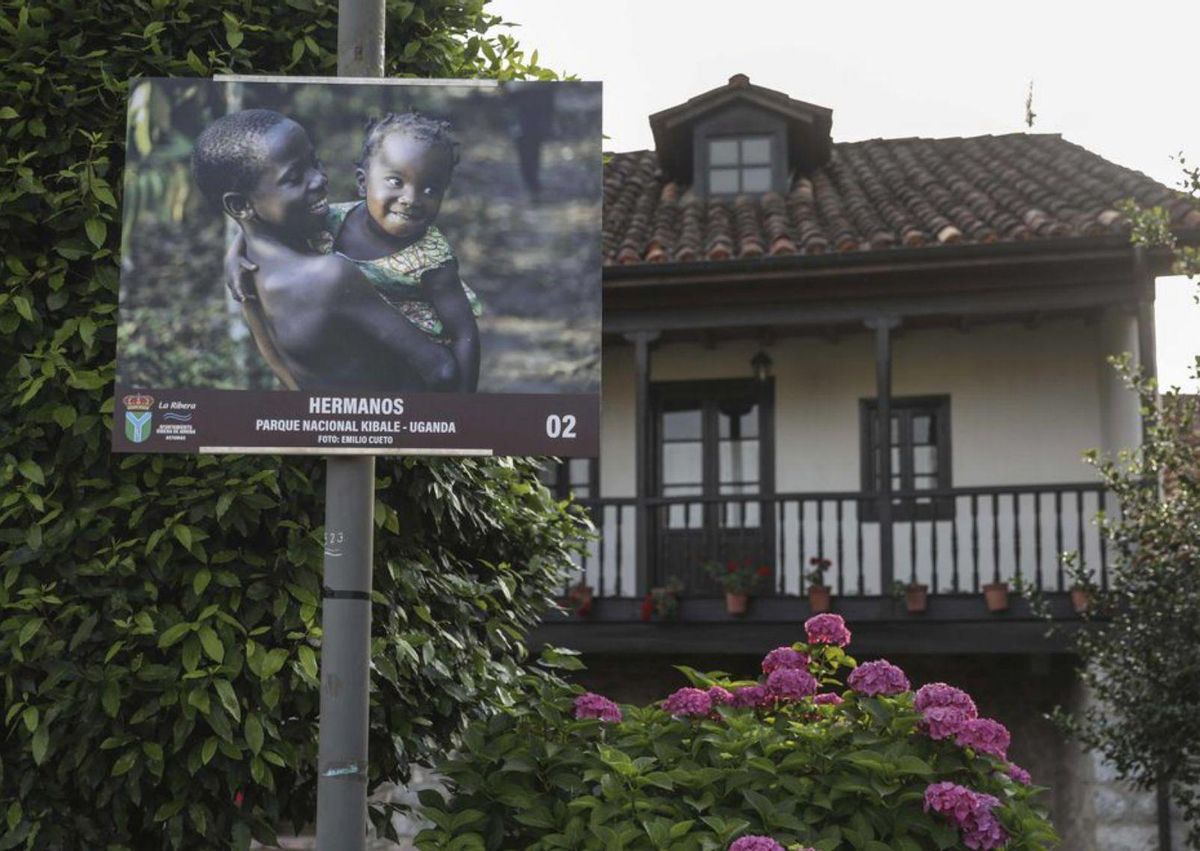 El universo onírico de Xastre protagoniza la nueva exposición de la Central Artística de Bueño