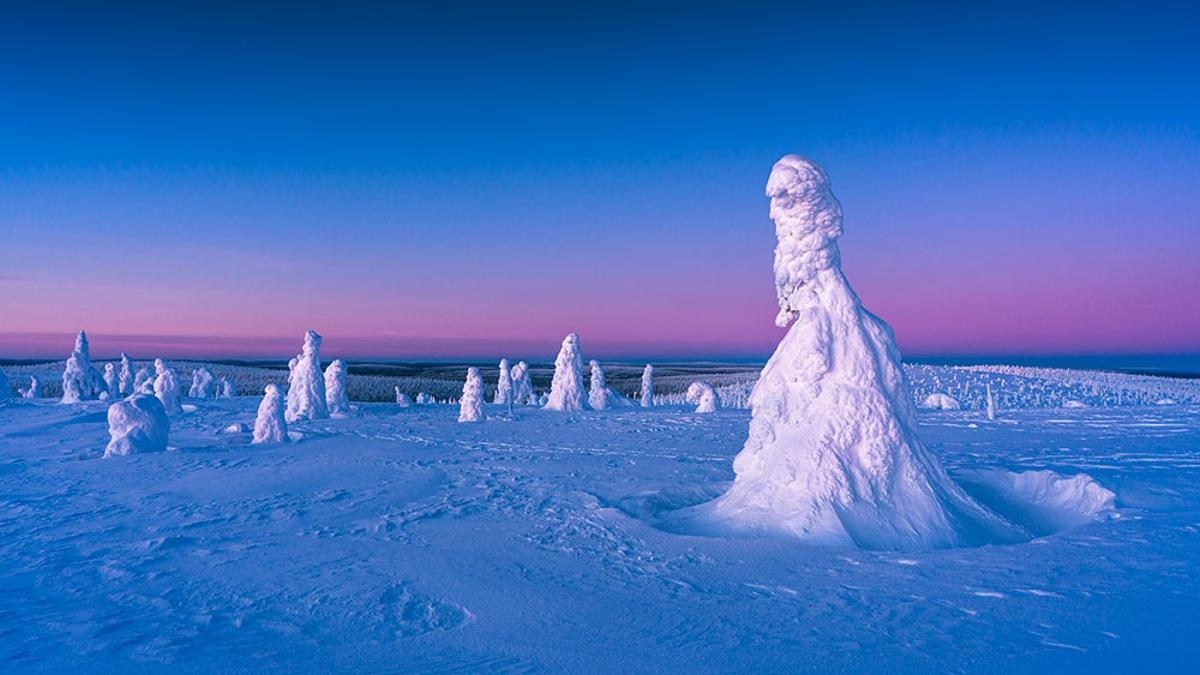 Parque Nacional de Riisitunturi