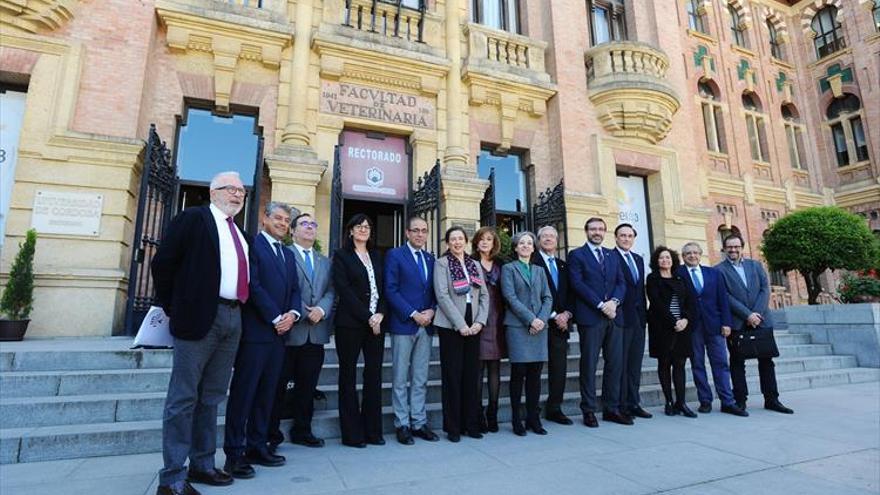 La Junta estudia fusionar grados en las universidades de Andalucía