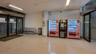 Los alergólogos creen que la chica del café con bichos en el aeropuerto de Palma es alérgica a los ácaros o a los crustáceos