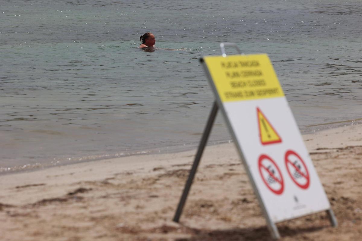 Galería: cerrada al baño la Platja d'en Xinxó por vertidos fecales