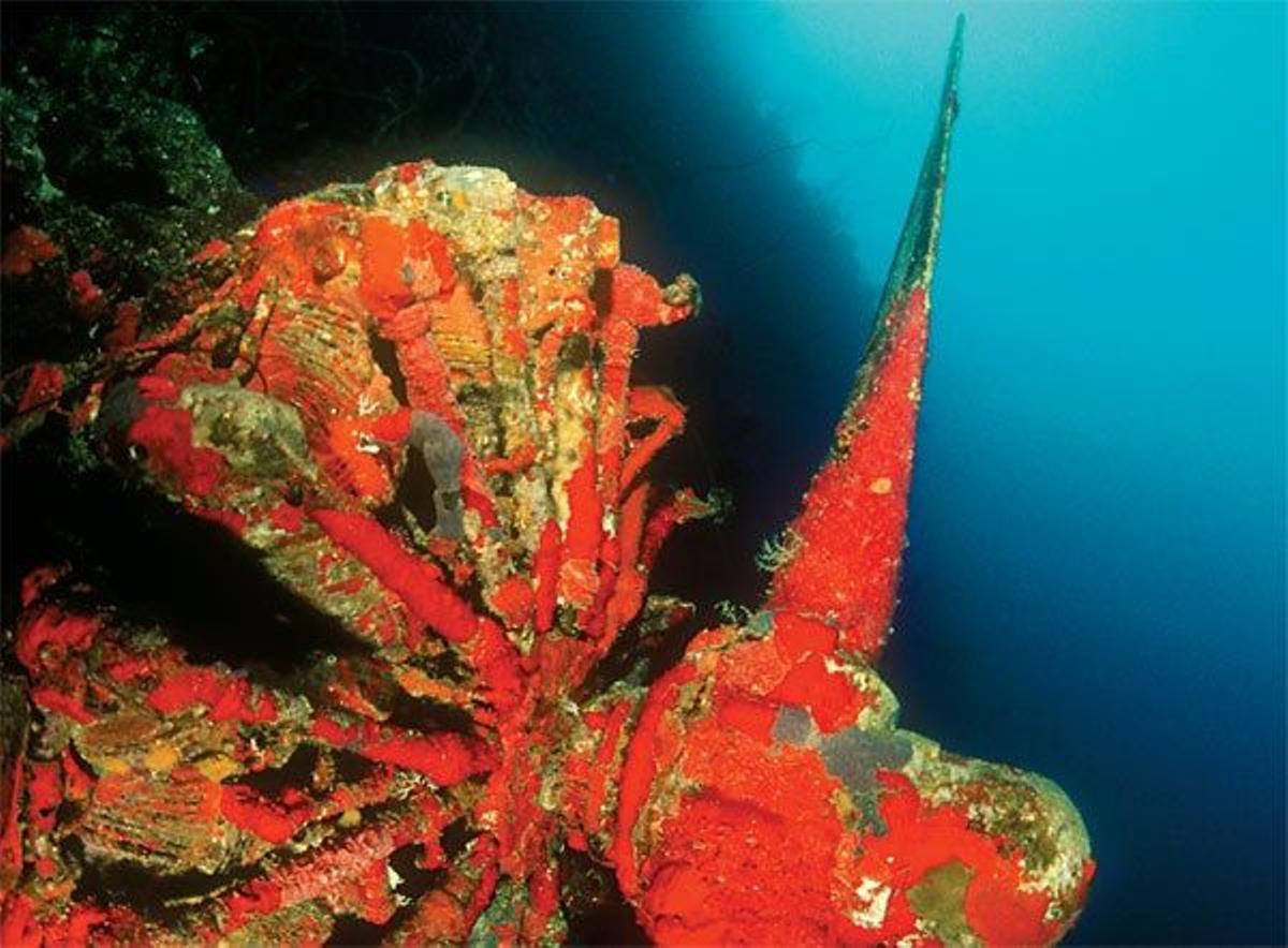 En Aruba es posible descubri restos de aviones sumergidos.