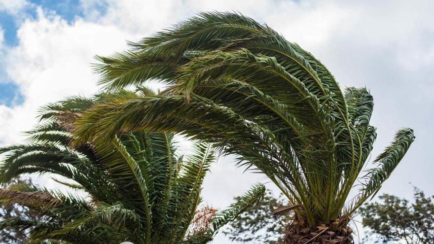 Canarias continúa sufriendo fuertes vientos este martes