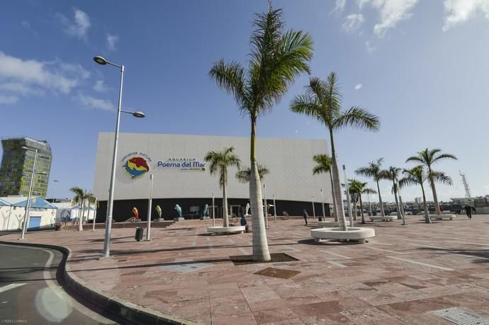 LAS PALMAS DE GRAN CANARIA. Plaza frente acuario Poema del Mar  | 21/04/2019 | Fotógrafo: José Pérez Curbelo