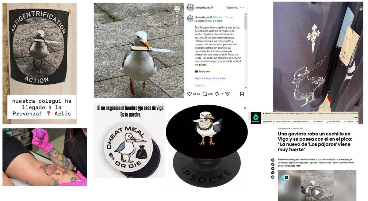 La gaviota navajera, difundida en medios de comunicación, impresa en ropa y objetos, plasmada en la piel e incluso como imagen reivindicativa.
