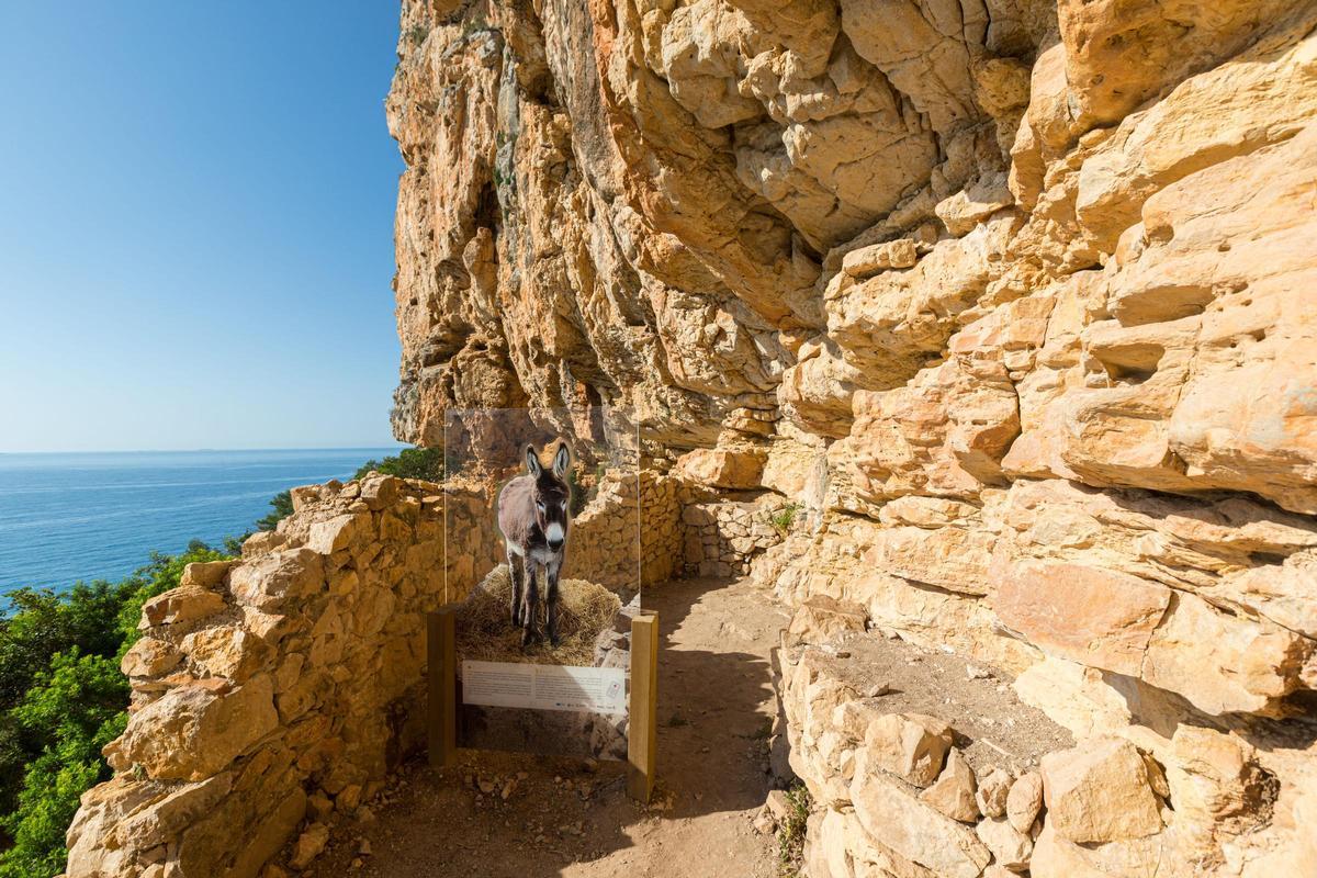 La cueva está en la escarpada costa de acantilados del Poble Nou de Benitatxell