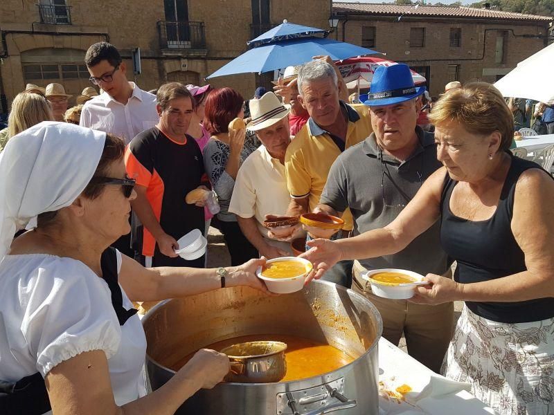 Fiesta de la Vendimia en Venialbo