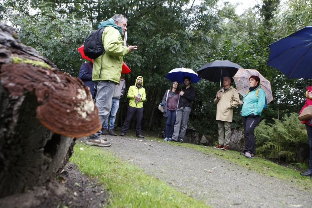 Recorrido micológico por el Jardín Botánico Atlántico