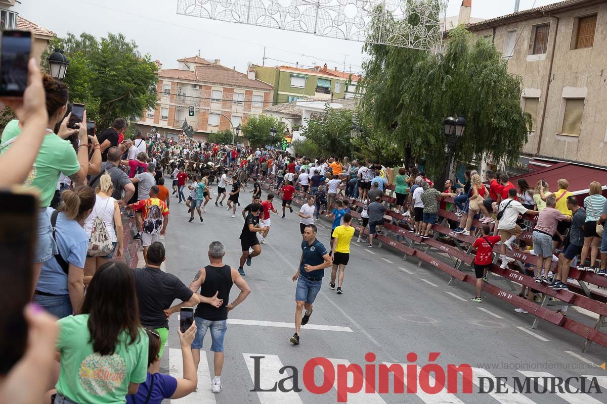 Cuarto encierro en las Fiestas de Moratalla